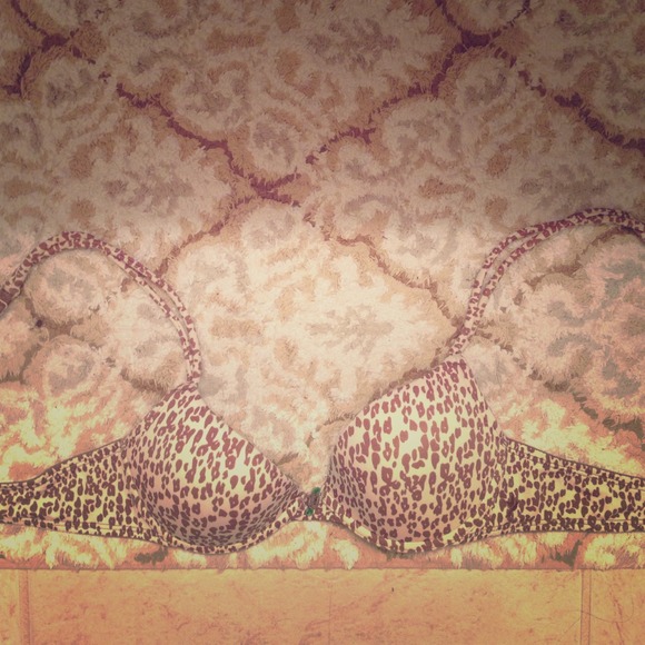 Cheetah bra