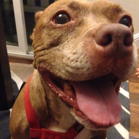 Make an offer! Don't be shy. 😊 - Picture 4 of 4