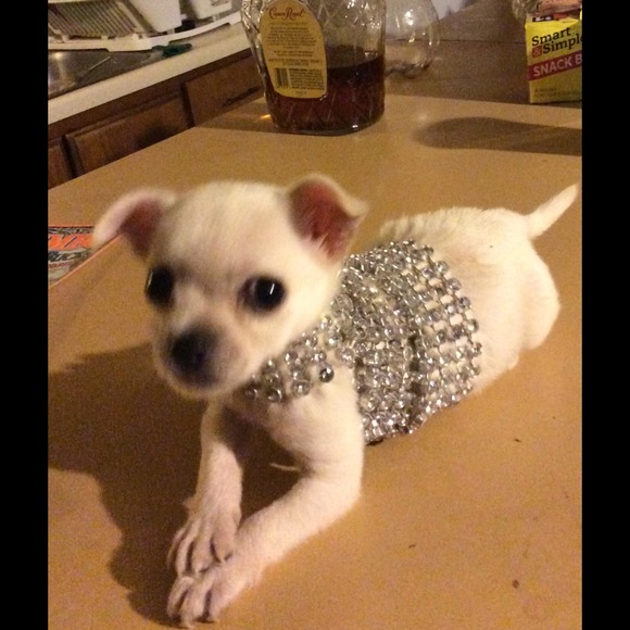My lil bling bling Baby!!