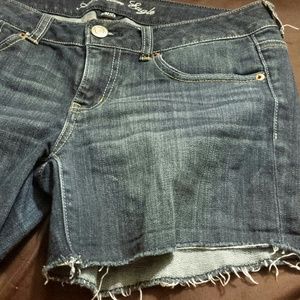 AE Stretchy Blue Shorts w/ Messy Ends