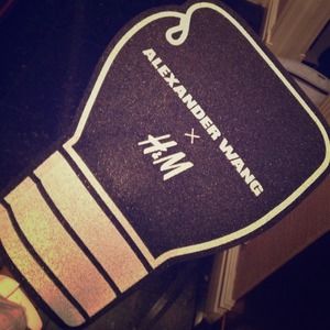Alexander Wang/H and M Foam boxing glove!!