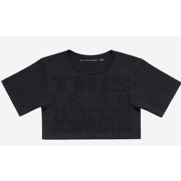 **SOLD** ALEXANDER WANG X H&M Cropped Top - Picture 1 of 4