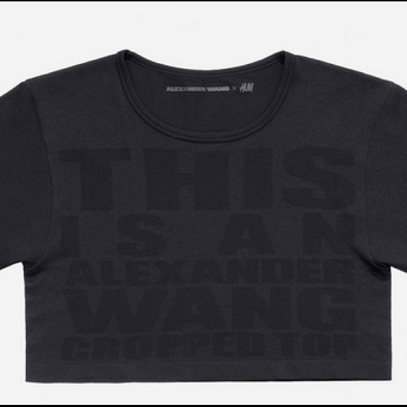 **SOLD** ALEXANDER WANG X H&M Cropped Top - Picture 2 of 4