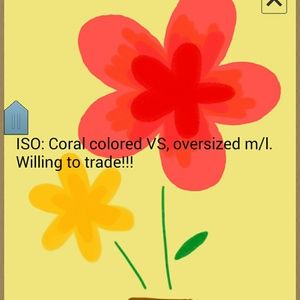 Looking for coral colored stuff and oversized