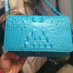 Brahmin Purse