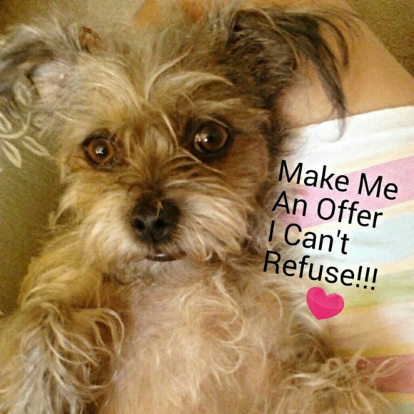 !!! @@@ Meet Miss Minnie @@@ !!!
