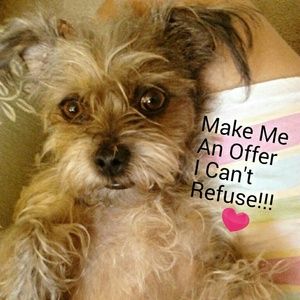 !!! @@@ Meet Miss Minnie @@@ !!!