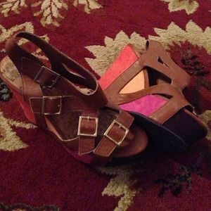 Colorful Wedges