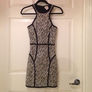 Parker Body Hugging Dress
