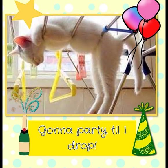 πππThanks for partying with me!πππ - Picture 4 of 4