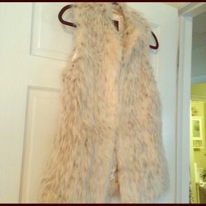 Rachel Zoe Trendy Fur Vest 💁