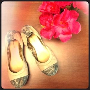 BCBG generation shoes!