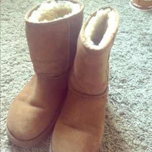 Chestnut Uggs