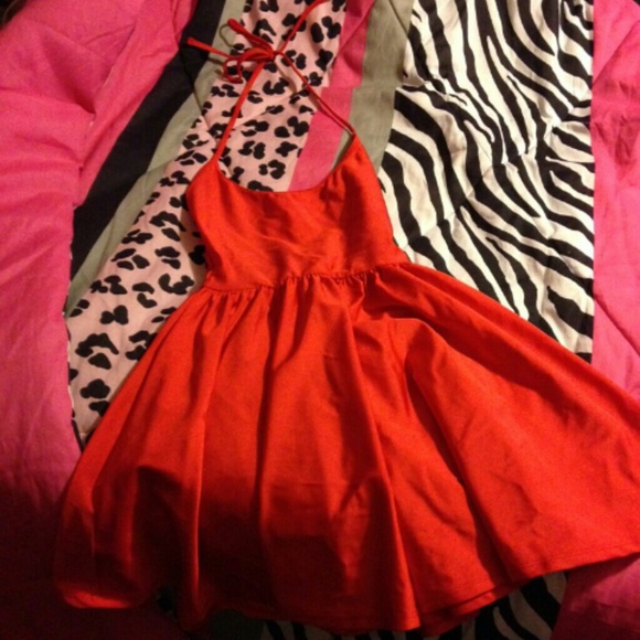 Skater Dress