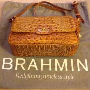 Brahmin Purse