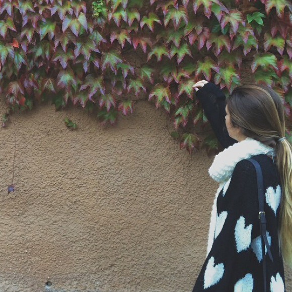 Meet Your Seller - Picture 3 of 3