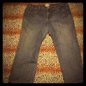 Women's Blue Jean Modern Boot Cut Size 24 ✨💖