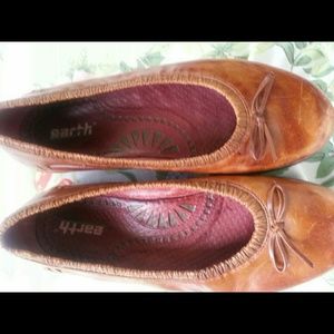 Brown Earth Shoes