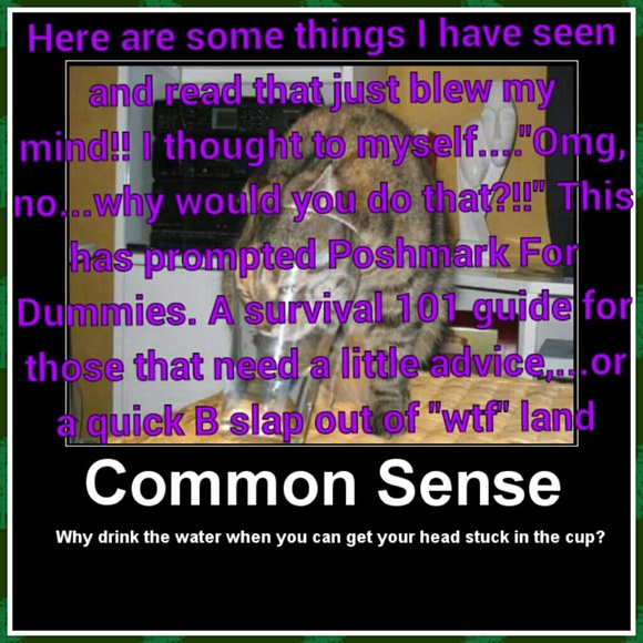 Poshmark For DUMMIES! A 101 On "What NOT To Do" - Picture 2 of 3