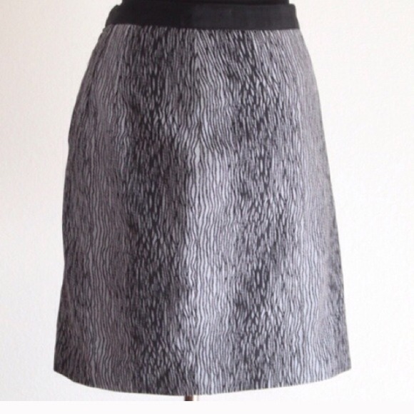 Ann Taylor skirt