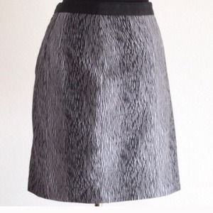 Ann Taylor skirt