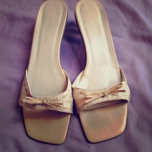 Ann Taylor Sandals
