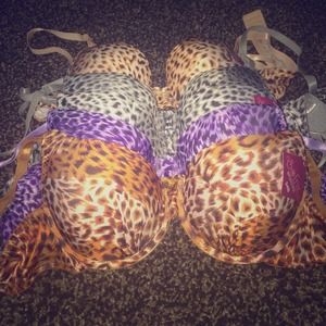 5 new bras