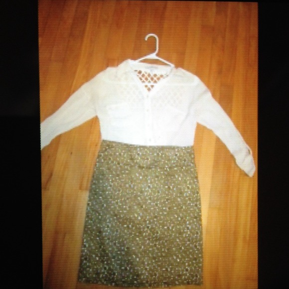 Business pencil skirt