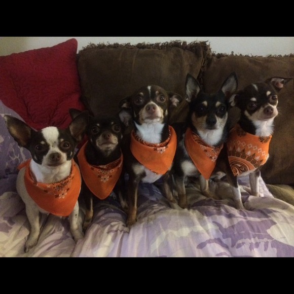 Meet your seller!!! - Picture 4 of 16