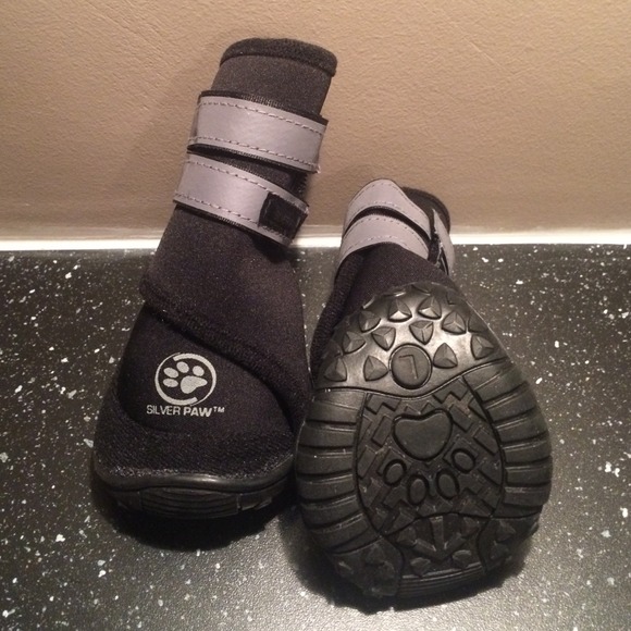 merrick classic chicken dog food