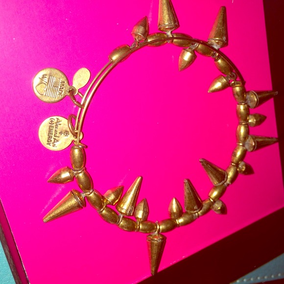 Rock & Raw Alex and Ani Goldtone Bangle
