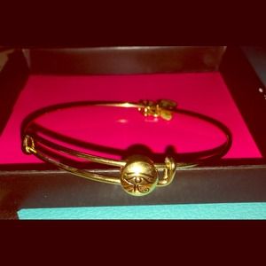 Alex and Ani Eye of Horus Bangle