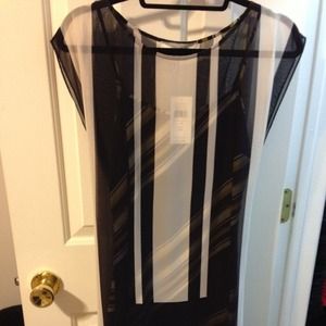 NWT Max and Cleo dress with sheer overlay