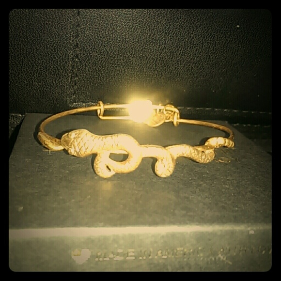 Alex and Ani serpent wrap