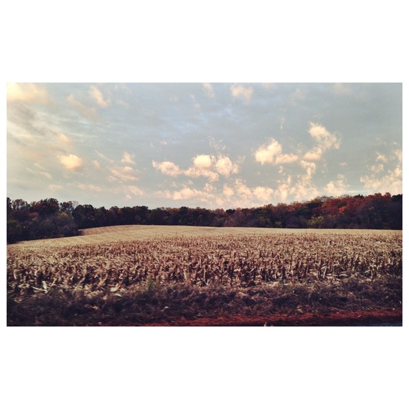 October Colors - Picture 1 of 1