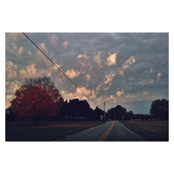 October Colors - Picture 1 of 1