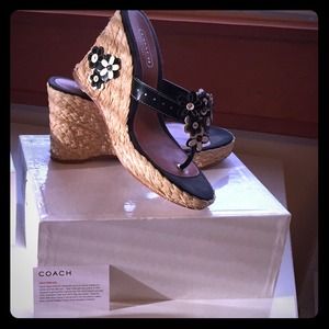 Coach wedges