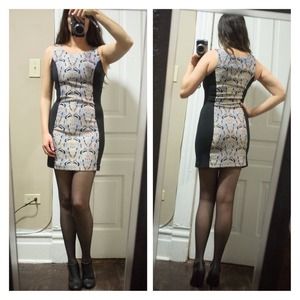 New!  Jack by BB Dakota Black & Jacquard Dress