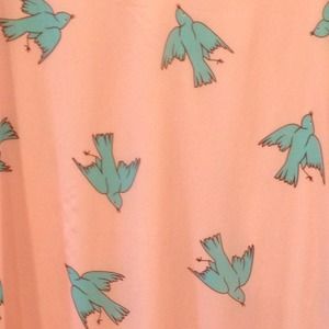 Beautiful NEVER worn blue bird dress.