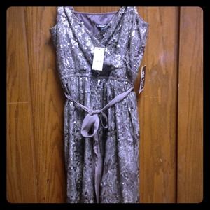 NWT Express Sequin Dress