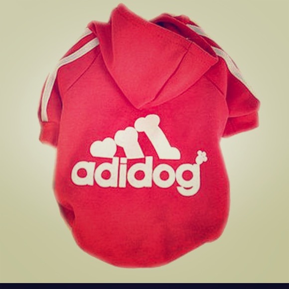 Dog hoodie