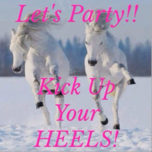 12.26 HOSTING PARTY #3 PARTY PERFECT STYLE ππ - Picture 1 of 2