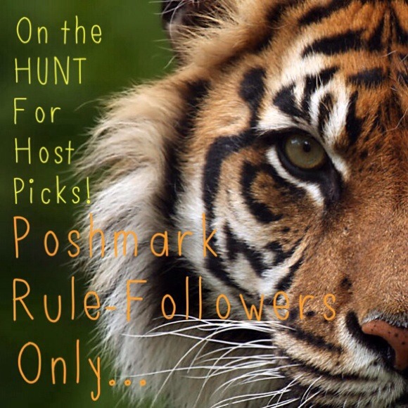 12.26 HOSTING PARTY #3 PARTY PERFECT STYLE ππ - Picture 2 of 2