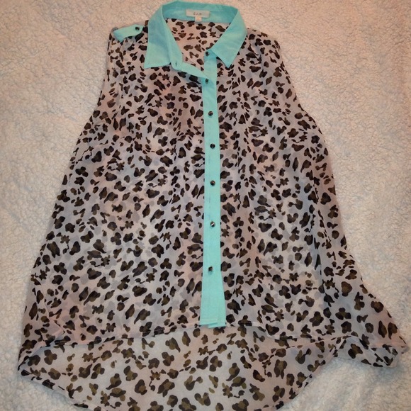 Cheetah tank