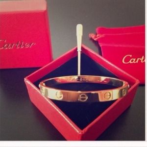 Cartier style love bracelet with screws