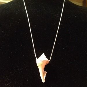 Simple sea shell chain necklace