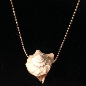 Sea shell necklace