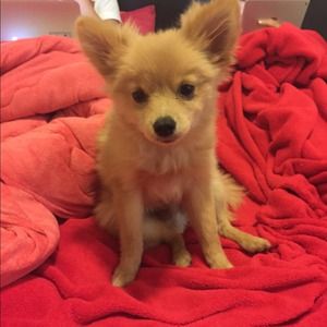 relocation to TAIWAN!