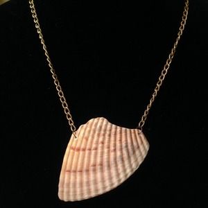 Chain seashell necklace