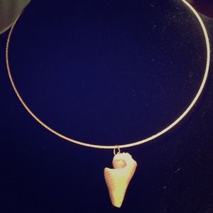 Gold sea shell necklace